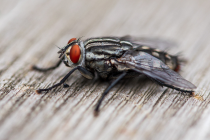 黄 色 成 人网站APP 黄 色 成 人网站APP