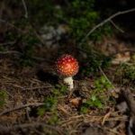 高清片源网官网:提供海量高清影视资源的优质平台 iql9w2