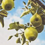 最新韩国电影分级制度 ox7r9mesx9