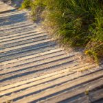 六旬老汉树林野战视频 ymc4jy1df