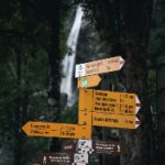 便捷访问掌上猫网页版登录入口指南 2glnl