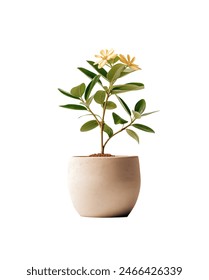 哔嘀影视最新网址:探索最新影视资源,畅享精彩观影体验 哔嘀影视最新网址:探索最新影视资源,畅享精彩观影体验