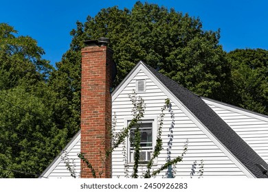 探索picacg哔咔官网版:最新功能与使用指南 探索picacg哔咔官网版:最新功能与使用指南